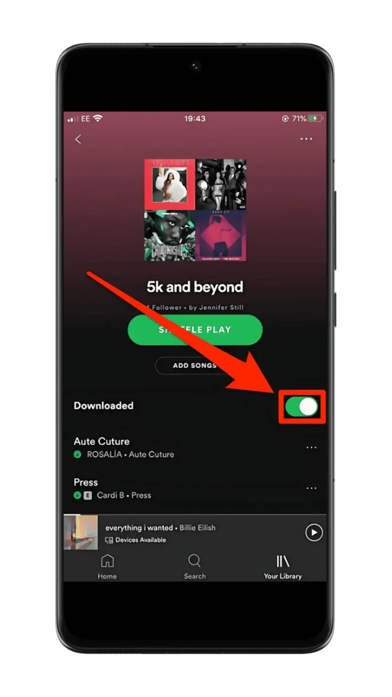 Como baixar Playlists do Spotify