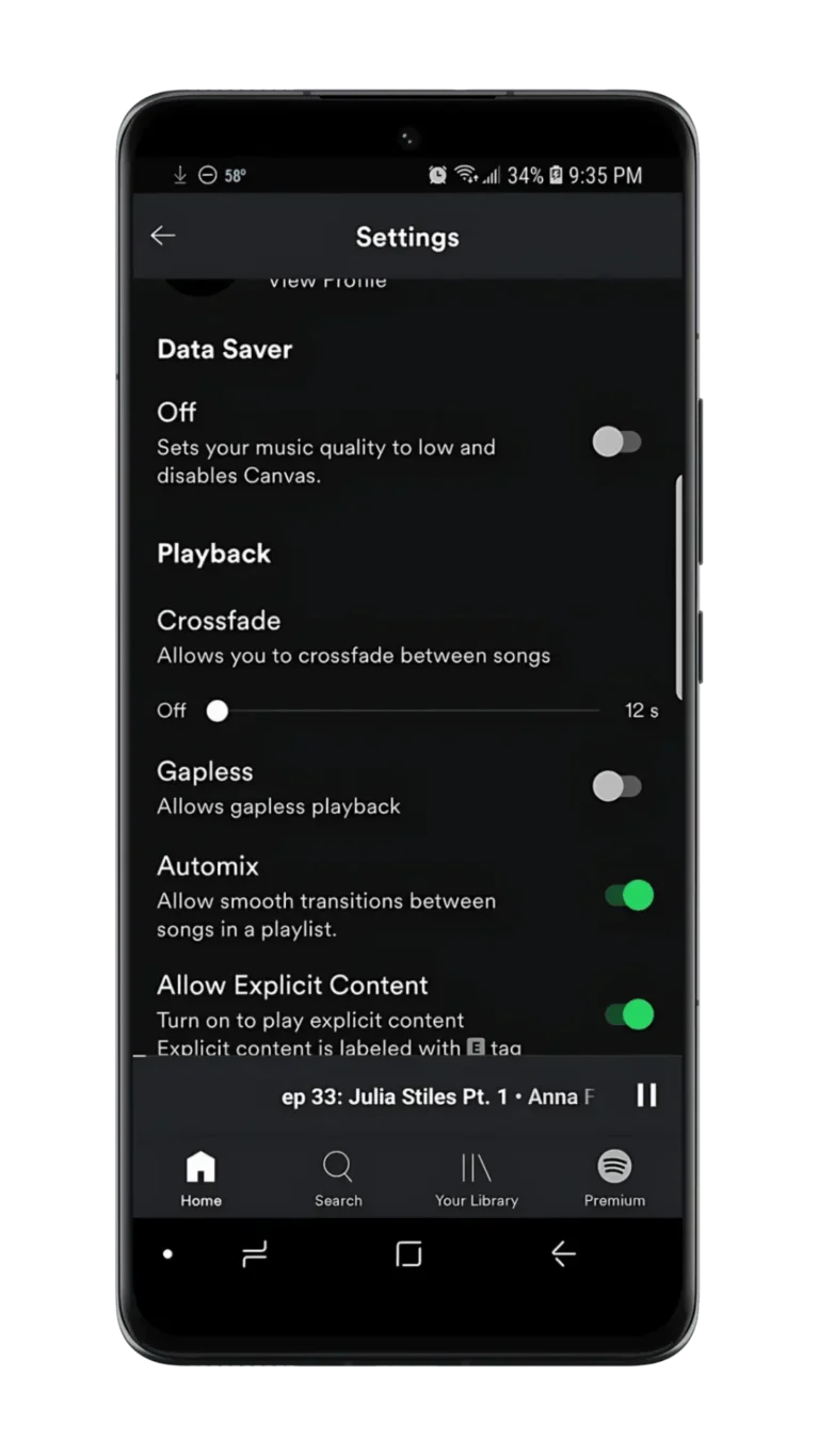 Como Ativar o Modo Offline do Spotify