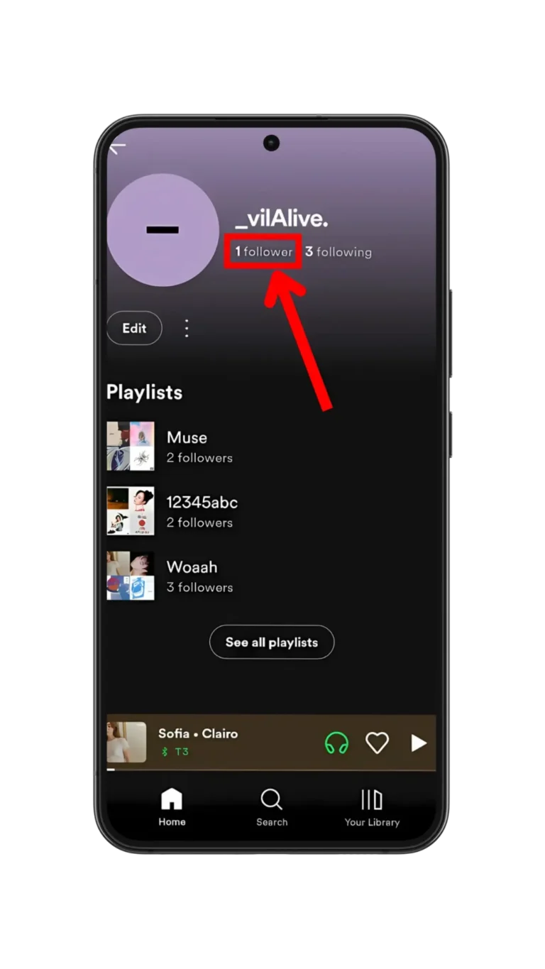 Como Bloquear Alguém no Spotify