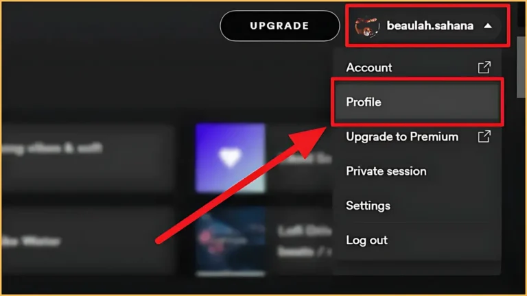 Como Cancelar Spotify Premium Para PC