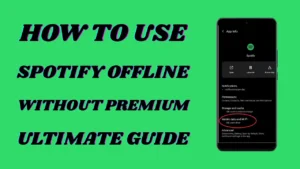 Como Usar o Spotify offline? Guia Para Iniciantes 2025
