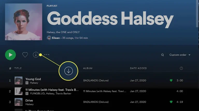Como Usar o Spotify offline
